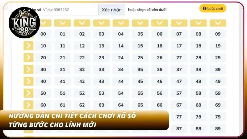 Chi tiết các bước đặt cược chuẩn xác cho tân binh
