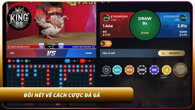 Khái quát về cách cược đá gà