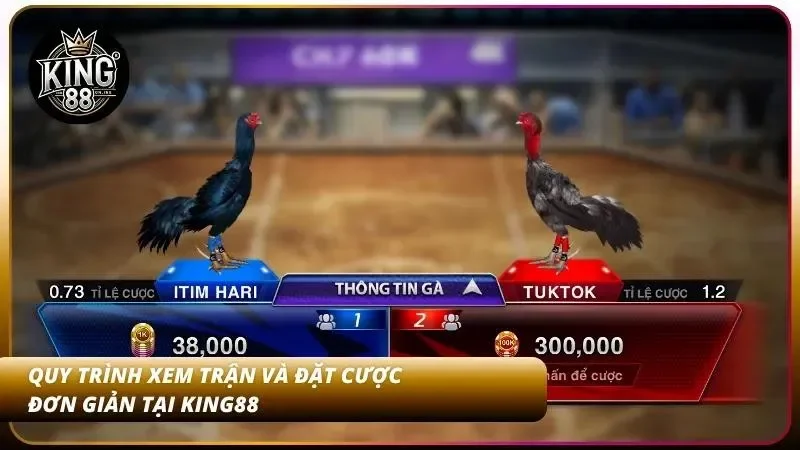 5 Bước xem trận và đặt cược trong tích tắc