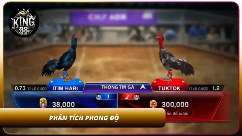 Nghiên cứu phong độ chiến kê trước trận kỹ càng