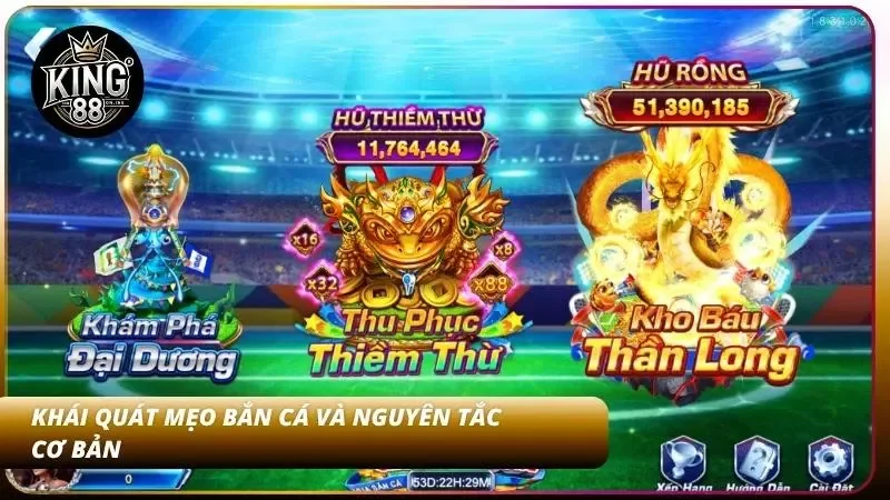 Nắm vững nguyên tắc cơ bản giúp tối ưu hóa lợi nhuận